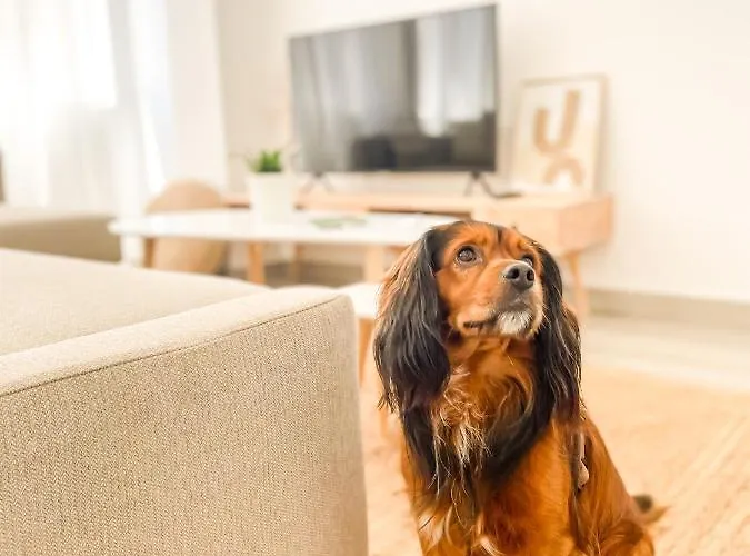 A Lobeira Grande By Aloga Apartmán Cee