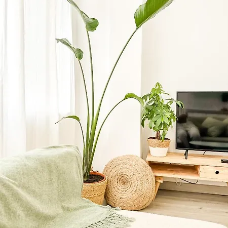 A Lobeira Grande By Aloga Apartment *