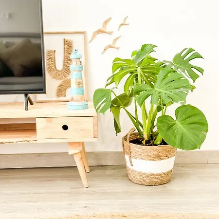 A Lobeira Grande By Aloga *