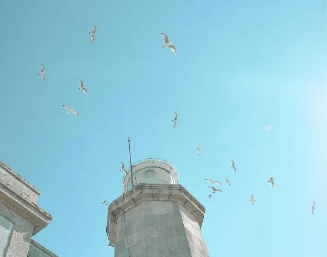 A Lobeira Grande By Aloga *