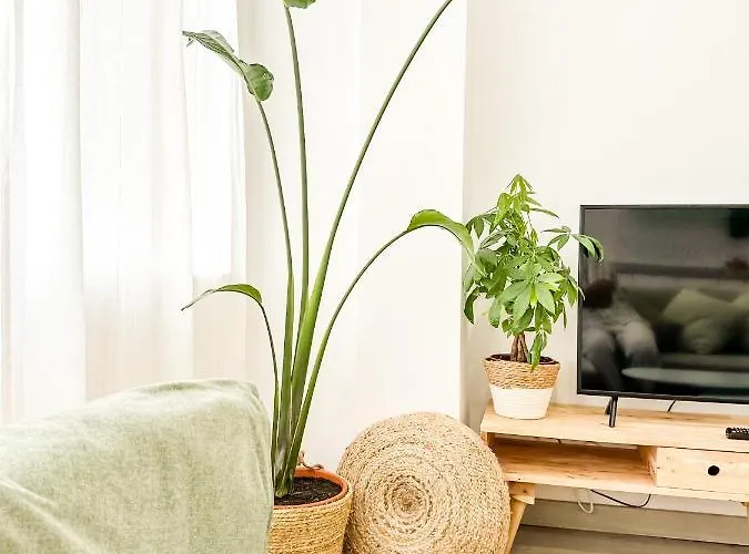 A Lobeira Grande By Aloga Appartamento *